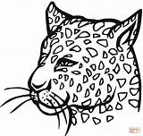Coloring Cheetah Pages Baby Cute sketch template