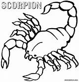 Scorpion Coloring Pages Color Scorpions Popular sketch template
