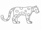 Rainforest Mewarnai Harimau Hitam Bintang Coloriages Mewarnaigambar Kumpulan Modeste Kucing Rubah Binatang Diwarnai Realisticcoloringpages Realistic sketch template
