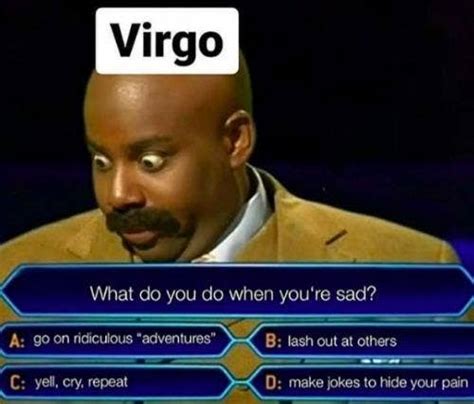 55 Best Virgo Memes That Describe This Zodiac Sign Yourtango