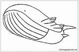 Wailord Pages Pokemon Coloring sketch template