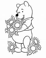 Sunflower Coloring Pages Pooh Sunflowers Winnie Color Kids Printable Drawing Clipart Sheets Google Colouring Coloring4free Books Flower Sheet Disney Flowers sketch template