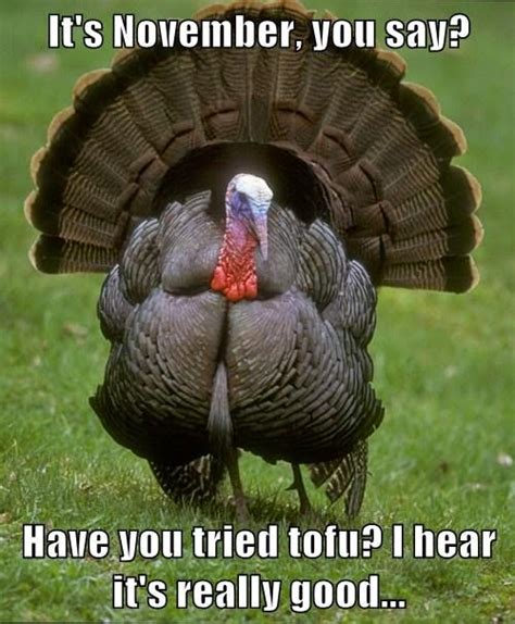 25 Super Funny Thanksgiving Memes That Will Make You Smile