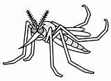 Mosquito Dengue Aedes Aegypti Zanzara Amarela Febre Insetti Colorir Imagens Arrabbiata Coloradisegni Escolares Educação Printable Colorare Alfabetização Escola Coisas Tchau sketch template