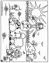 Schaf Ausmalbilder Sheep Colorir Sheeps Ovelhas Desenhos Fazenda Malvorlagen Auf sketch template