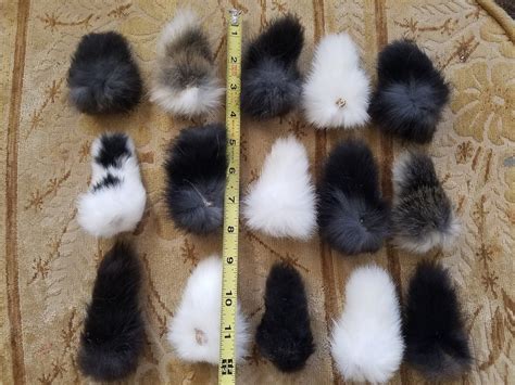 naturally dried real rabbit tails bulk lot