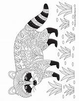 Raccoon Colouring Fall Zentangle Cute Coloringbay Mycoloring Skunk Woojr sketch template