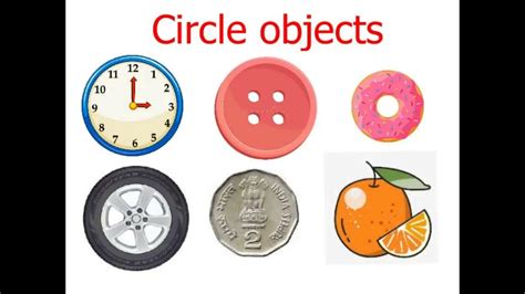 circle  pictures  sounds learn circle objects circle object