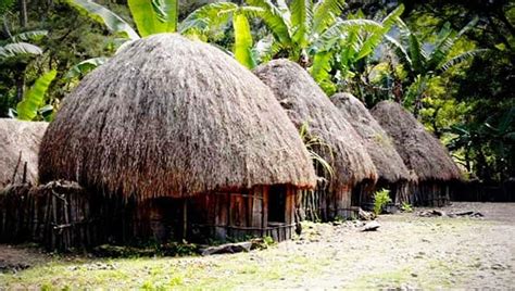 rumah adat papua timur