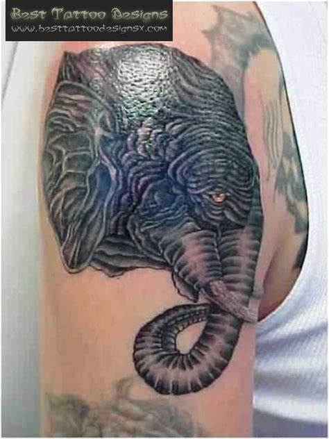 wild tattoos elephant tattoo designs