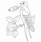Swallow Coloring Pages Printable Bird Pattern Getdrawings Drawing Getcolorings Colorings 88kb sketch template