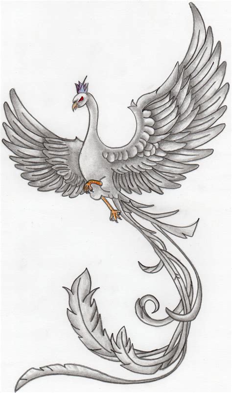 part   phoenix drawings art drawings sketches pencil art