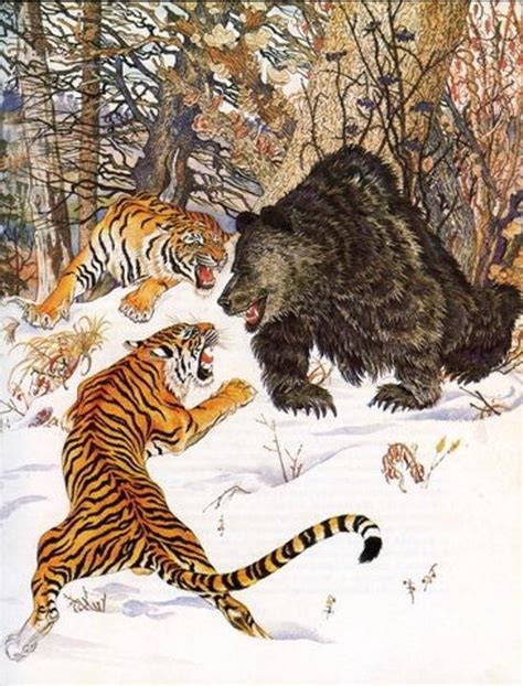 Who Would Win Between A Siberian Tiger And A Grizzly Bear
