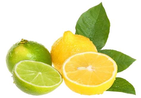 citron histoire  gout