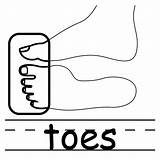 Toes Clipart Body Coloring Elbow Toe Cliparts Clip Parts Library Clipartbest Clipartpanda sketch template