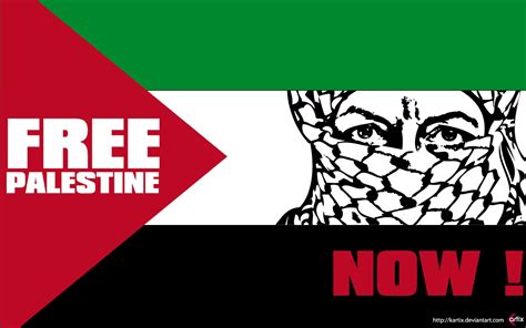 palestine flag  palestine