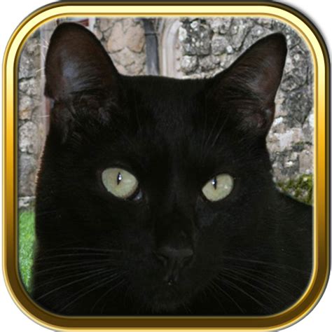 black cat jigsaw puzzle games appstore for