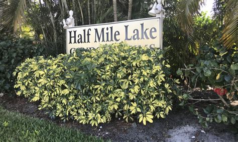 mile lake condo stuart  home  sale echo fine properties
