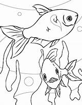 Coloring Pages Dingo Fish Printable Kids Fishes Getcolorings Sc Ray Fresh sketch template
