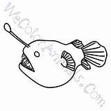Angler Fish Coloring Drawing Pages Anglerfish Draw Click Paintingvalley sketch template