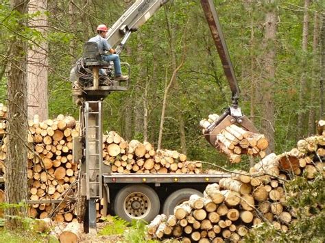 logging   wood  news sports jobs daily press