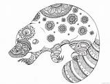 Mandala Coloring Adult Platypus Printable Pages Australian Animal Animals Templates Etsy Drawing Drawings sketch template