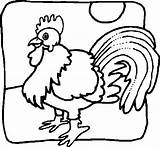 Coloring Rooster Book Chooks Pages Coloringpages101 Bird sketch template