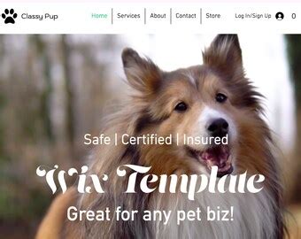 wix website template dog walking etsy