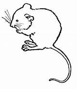 Mouse Clipart Clip Including Above Any Use Gudu Ngiseng Thumbnail Animal sketch template