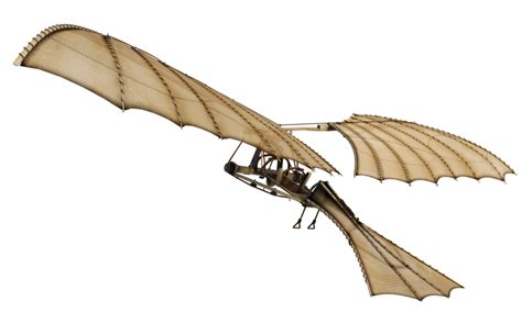 ornithopter definition  meaning collins english dictionary