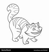 Cat Coloring Book Cheshire Vector Royalty sketch template