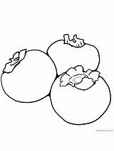 Persimmon Originates sketch template