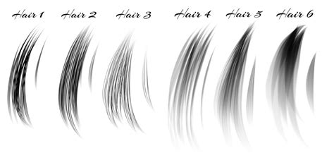 hair brushes pack  brushes  procreate