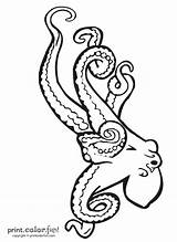 Tentacles sketch template