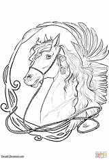 Coloring Nouveau Horse Pages Printable Line Drawing Categories sketch template