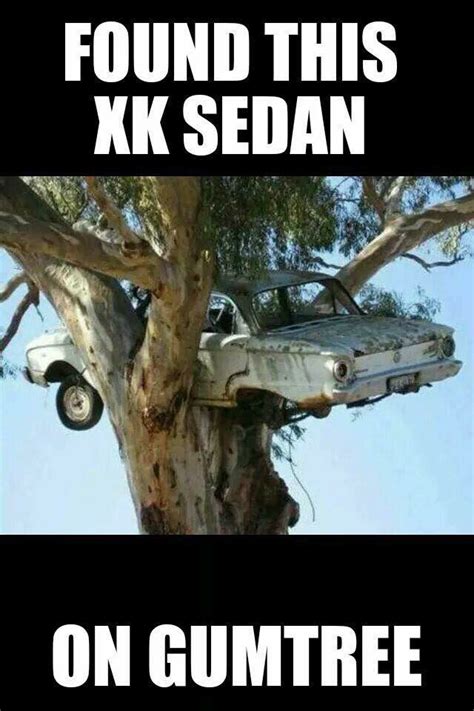 Aussie Joke Sedan Tree Car