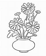 Marigold Drawing Flower Coloring Pot Mari Getdrawings sketch template