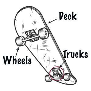 skateboard anatomy   build  board active weekender