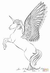 Unicorn Coloring Wings Pages Realistic Drawing Draw Step Color Supercoloring Printable Eenhoorn Tutorials Drawings Online Magical Cute Fairy Vleugels Met sketch template