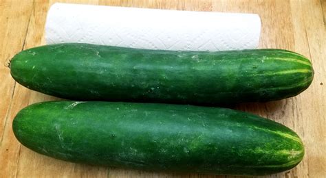 huge cucumbers