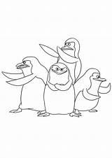 Madagascar Penguins sketch template