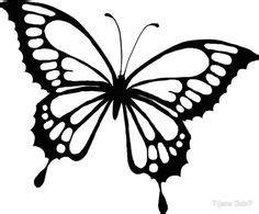 resultado de imagen  butterflies printable coloring pages dibujos