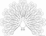 Peacock Coloring Pages Printable Outline Color Heart Print Tattoo Hearts Colouring Kids Mandala Realistic Sheets Patterned Tail Sweet Adult Drawings sketch template