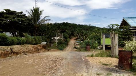 Perkerasan Jalan Desa Kemang Manis Lancarkan Akses Produksi Perkebunan
