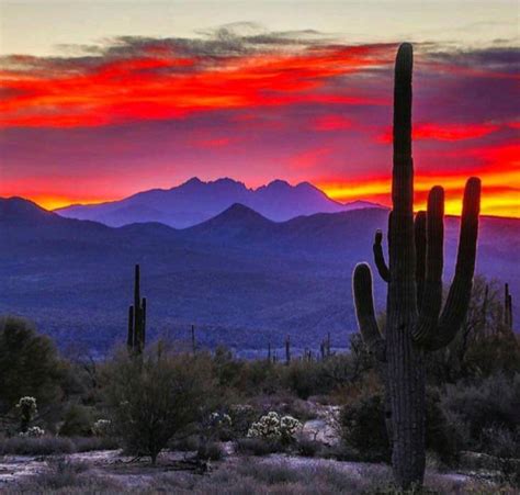 beautiful sunset  mesa arizona      everyday   pretty damn awesome