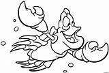 Sirene Crabe sketch template
