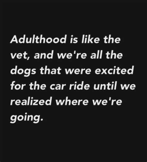 23 Funny Adult Quotes You Ll Relate To If You Think Adulting Isn T Easy