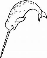 Narwhal Narwhals Netart Everfreecoloring sketch template