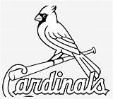 Coloring Cardinals Louis St Pages Wallpaper Nicepng sketch template