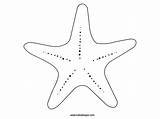 Starfish Coloring Animals Marina Printable Stella Da Colorare Stelle Pages Marine Drawing sketch template